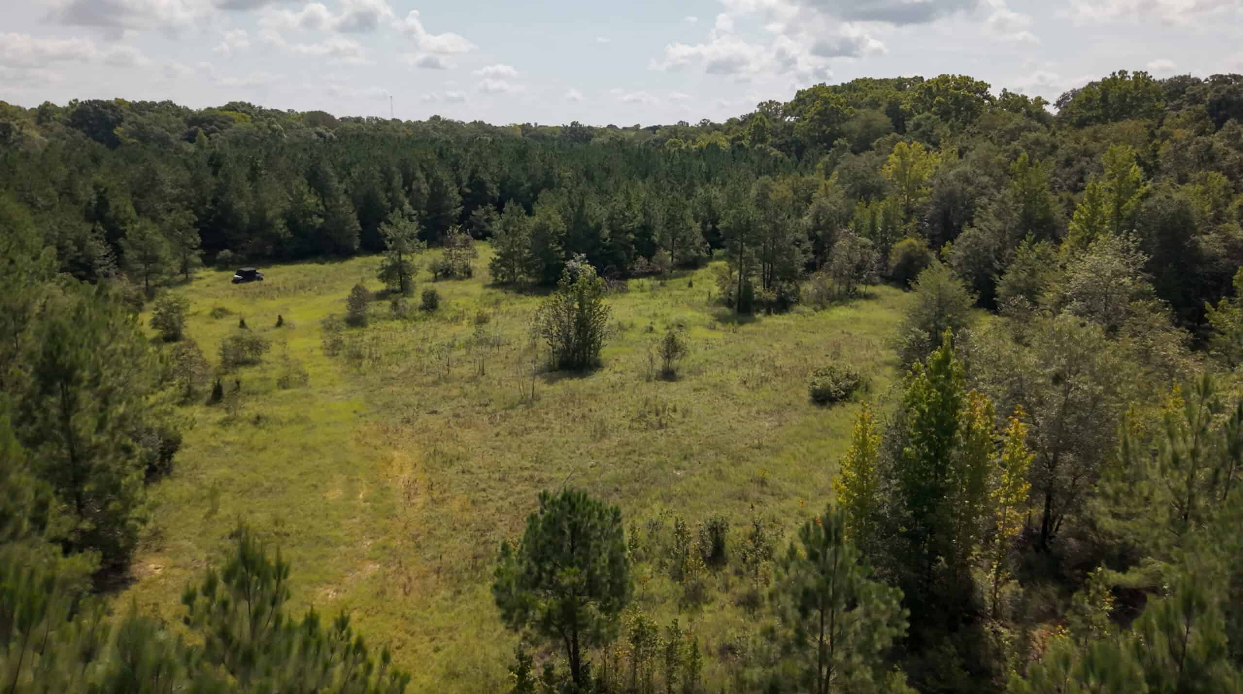 224.56 Acres | Buck Creek 224 | Montezuma, GA